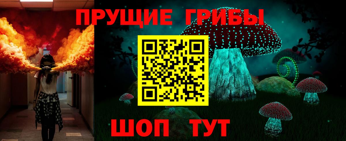 Галлюциногенные грибы прущие грибы  Вход с VPN  Сосновый Бор 